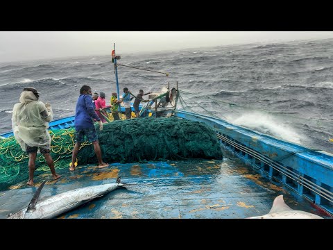 OMG! Boat in Storm 🌊 | Day 10 Deep Sea Fishing Adventure & Big Fish Catch