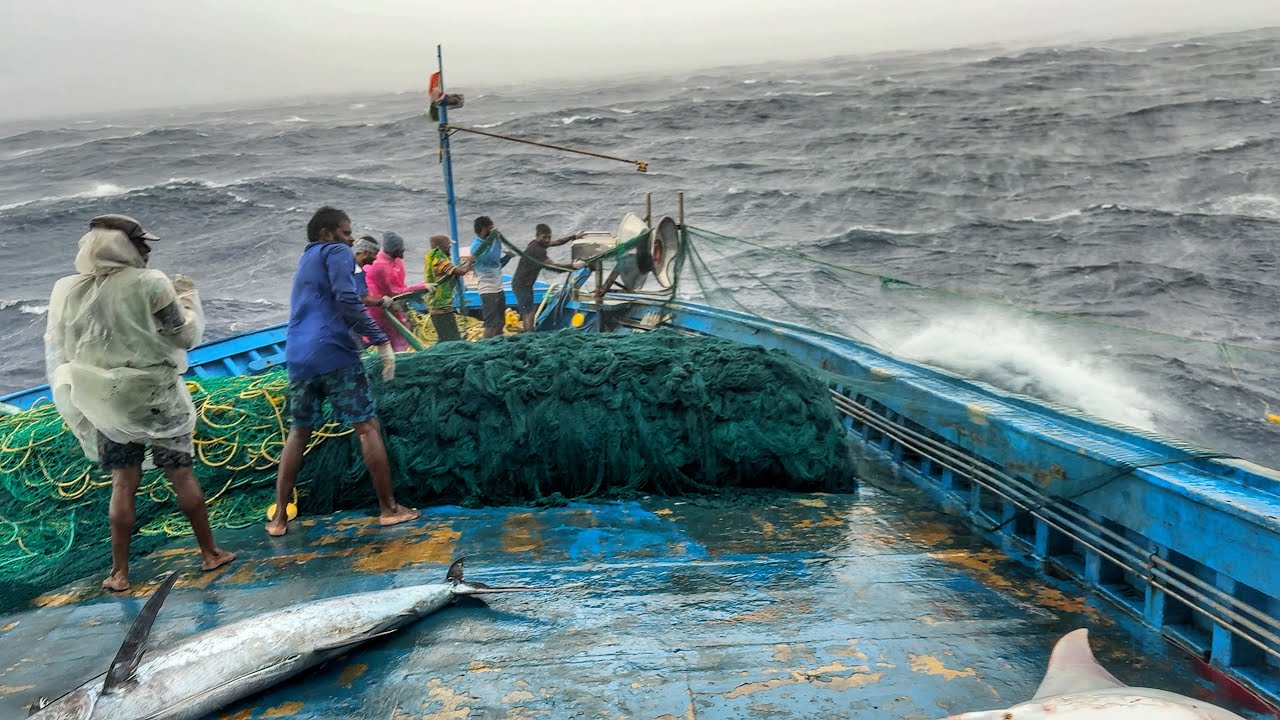 OMG! Boat in Storm 🌊 | Day 10 Deep Sea Fishing Adventure & Big Fish Catch
