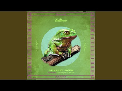 Poetika (Tibor Dragan Remix)