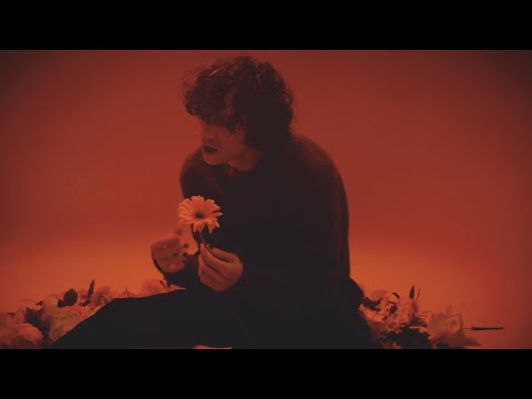 Play Video Youtube Video