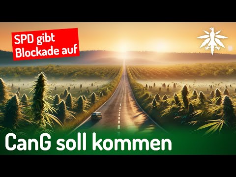 SPD gibt Blockade auf, CanG soll kommen | DHV-News # 409