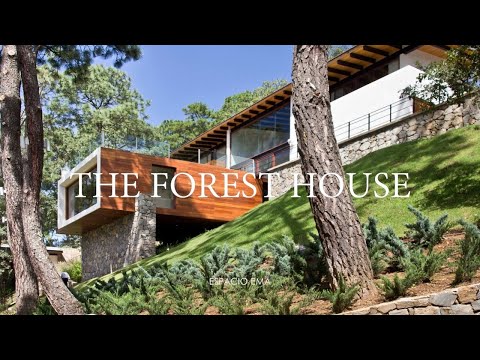 Modern House on a Steep Slope Surrounded by a Dense Pine Forest (House Tour)