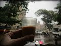 A Rainy Day With Tea Whatsapp Status Video