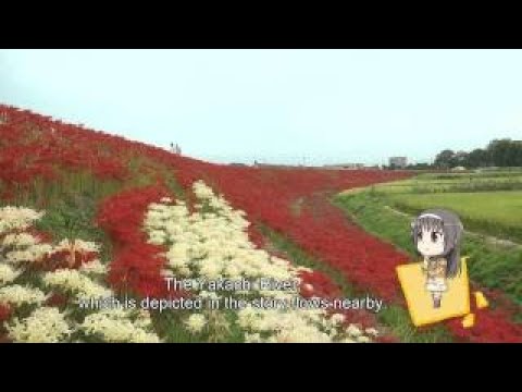 Walking In Date de Chita 8 12 Handa City HandaYoiko