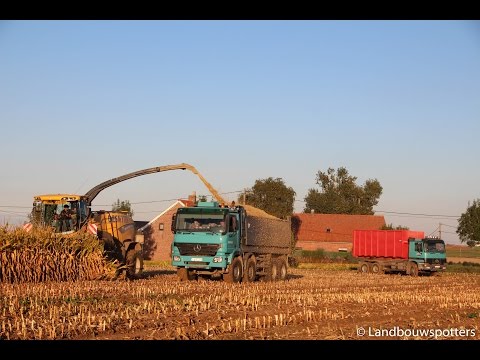 New Holland FR 850 mais hakselen 2016 - Loonwerken Desmyter