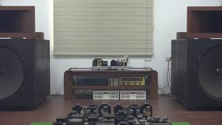 The Lonely Goatherd... Maria and the Children.