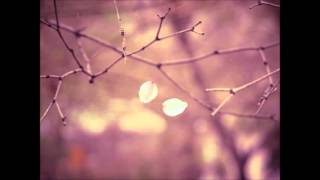 Stray away - The Colourist (Audio version)