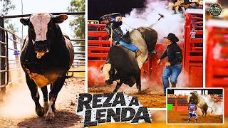 REZA A LENDA – O TOURO MAIS TEMIDO DO BRASIL | HISTÓRIA COMPLETA