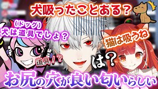 【葛葉】犬を吸う葛葉に恐怖を覚えるSellyと奇行に走りそうなプティ【CRカップ/葛葉/Selly/ラトナ・プティ/APEX/にじさんじ/切り抜き】