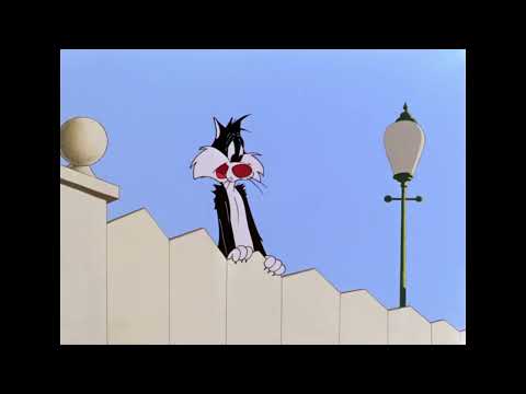 Piu-Piu e Frajola - Eu Acho Que Vi Um Gatinho