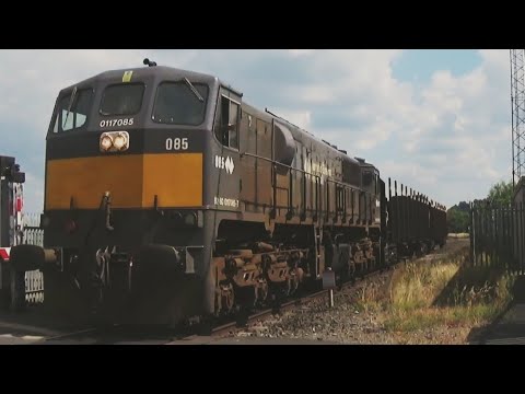 Irish Rail 071 Class Loco Number 085 With Timber Wagons - Dromkeen, Co. Limerick
