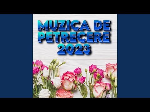 Petrecere NOU 2023 CEL MAI BUN COLAJ