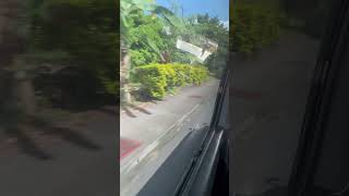 J&D on the sea, #dominica #vacation #carnivalships  #travel