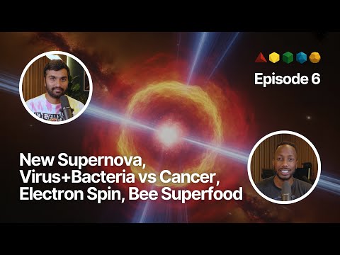 FFP EP. 6 | New Supernova, Virus+Bacteria vs Cancer, Electron Spin, Bee Superfood