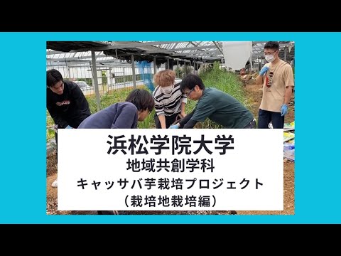 浜松学院大学 地域共創学科 キャッサバ芋栽培プロジェクト（袋培地栽培編）
