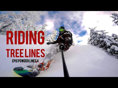 Gopro: Riding Tree Lines