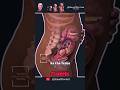 19 Seconds Of Amazement Incredible Fetal Development