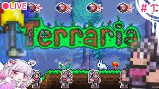 #1【 2Dサバイバル 】はぁとのテラリア生活１日目【TeamAIS】Terraria