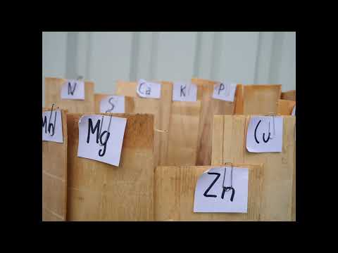 Darum ist das Gesetz vom Minimum nach Liebig mit der Minimumtonne nur unzureichend erklärt.