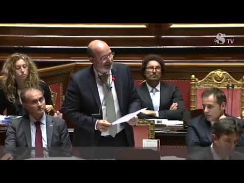 Vito Crimi (M5S) - intervento aula del Senato 14/11/2018
