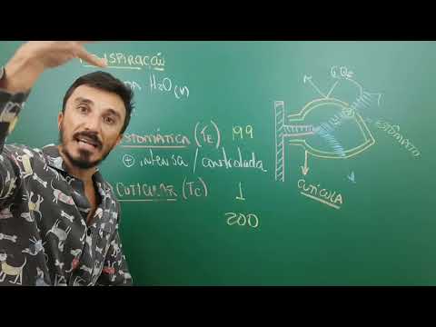 Transpiração nos Vegetais - Módulo 21
