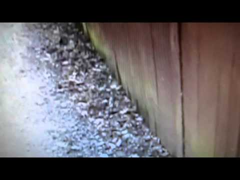 Let's Consider - Episode Seven: Summer