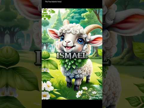 25 prophets of islam