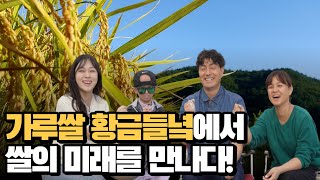 [농식품부 x 욘니] Ep6. 가루쌀 황금들녘에서 쌀의 미래를 만나다! 