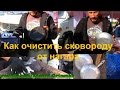 Как очистить сковороду от нагара. 