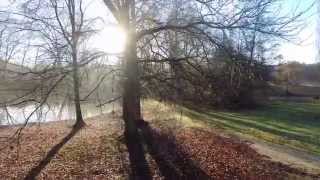 la forêt des livres