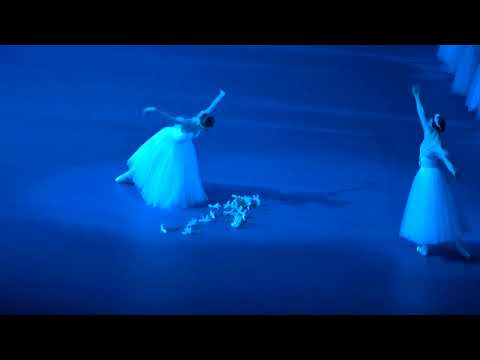 Giselle 22.01.23 Eva Sergeyenkova - debut ,  A.Belyakov