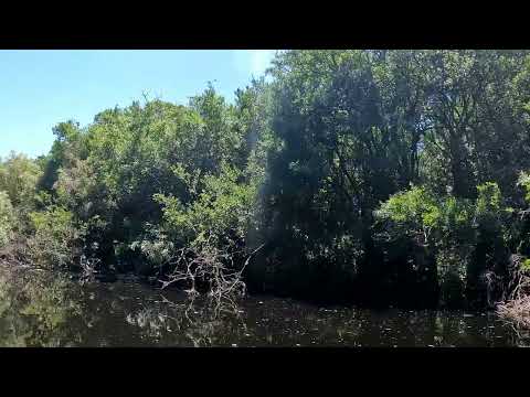 Remamos el arroyo La Boyada (San José)  para llegar al Corral de Piedras.