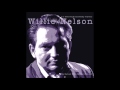 Willie Nelson - When I've Sang My Last Hillbilly Song (1954)