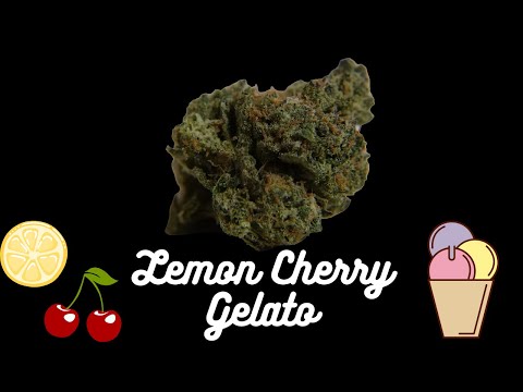 Lcg 2 Strain
