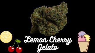 Lemon Cherry Gelato Strain Review