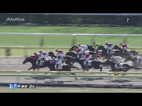 2020.02.01 3歳新馬 エヴァジョーネ