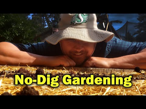 Garden Quickies Volume 1 Episodes 1 to 10