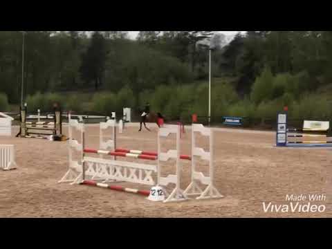 Cardento - Numero Uno