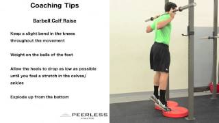 283. Barbell Calf Raise