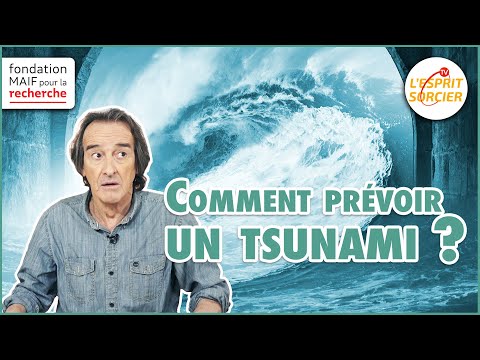 Comment prévenir les séismes et tsunamis ? - L'Esprit Sorcier