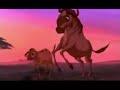 Animash Dance With Us The Wild Thornberrys Movie