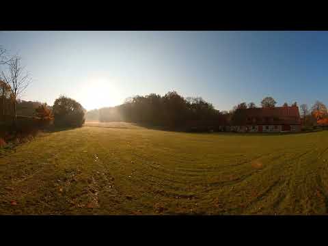 Valje Forest Field Sweden