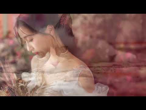 Xin hãy rời xa - Minh Hào - Nhạc trữ tình