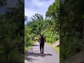 Lebat Pemandanganya