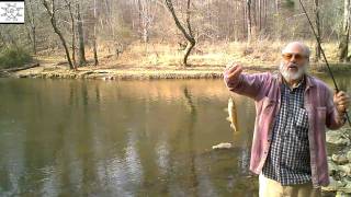 preview picture of video 'First Eno River Fish Of 2011'