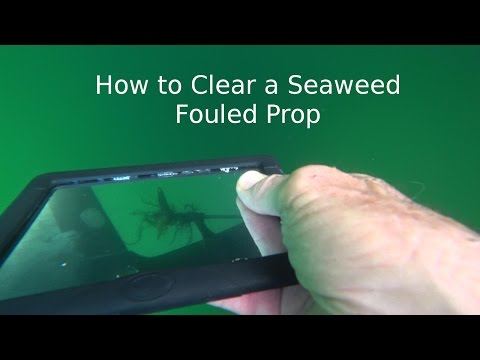 How to Clear a Seaweed Fouled Prop