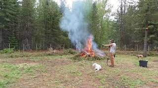 Burning Wet Slash Piles Fast. (Without Gas Or Diesel)