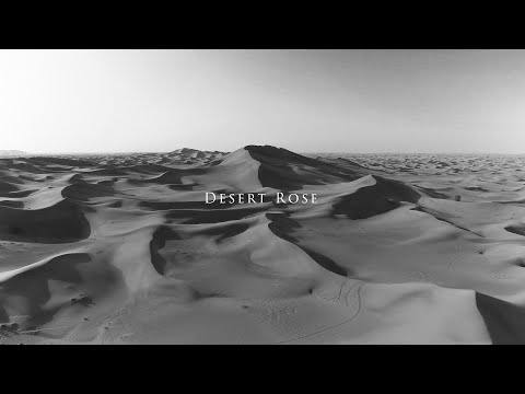 Theo Thomson - Desert Rose (Official Video)