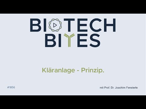 Biotech-Bites - Kläranlagen - Prinzip und Biologie