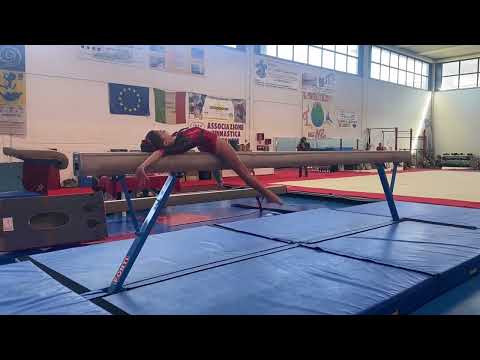 Campionato di Serie D LC J&S 🥇 Reg AGL 2023 1 prova Ginnastica Artistica
